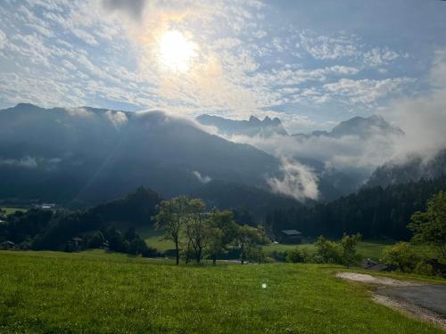 a green field with a view of a mountain at Ferienwohnung Niederbergerhof in Unken