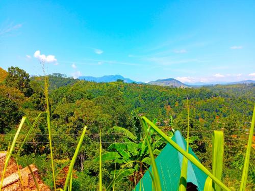 a view of the forest from a tent at Ella Shia Cabana in Badulla