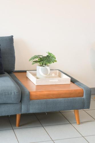 a coffee table with a plant on top of a couch at COC - La Brise Marine in Wissant