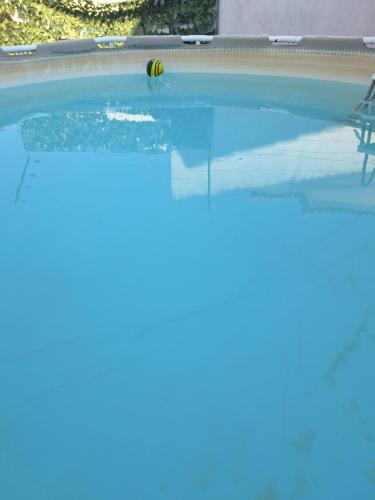 a tennis ball sitting on top of a swimming pool at sweet susete in Monsoa
