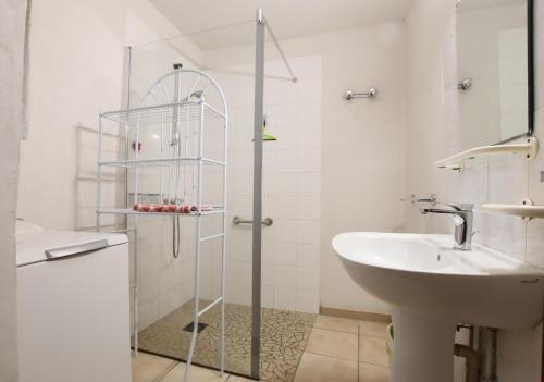 a bathroom with a sink and a glass shower stall at Errekarteko-borda in Saint-Jean-le-Vieux