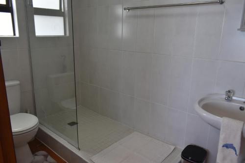a bathroom with a shower and a toilet and a sink at At Whale-Phin Guest House in Reebok