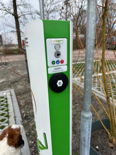 a green and white machine with a dog sitting next to it at De Weie in Burgh Haamstede