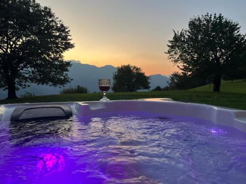 a hot tub with a glass of wine in it at Wellness-Gästehaus in Says mit Whirlpool und Sauna in Ober-Says