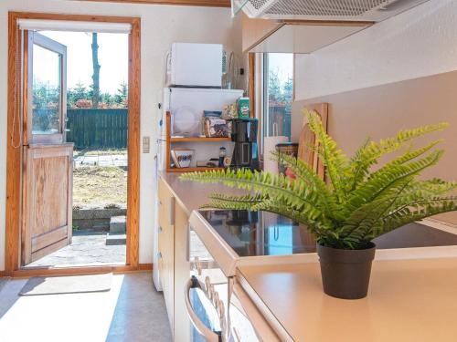 a kitchen with a potted plant on a counter at 4 person holiday home in Allingåbro-By Traum in Allingåbro