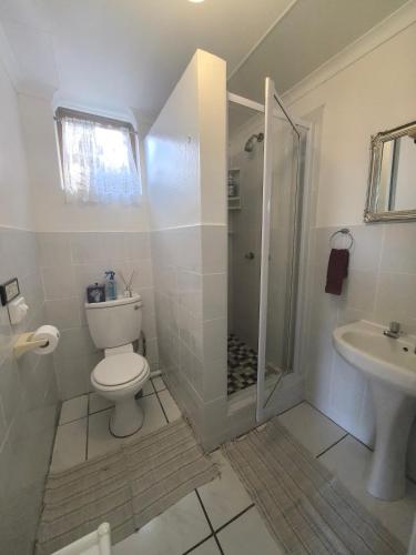 a bathroom with a shower and a toilet and a sink at At Whale-Phin Guest House in Reebok
