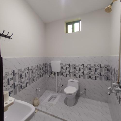a bathroom with a toilet and a sink at Well furnished Room in Apartment in Rahimyar Khan