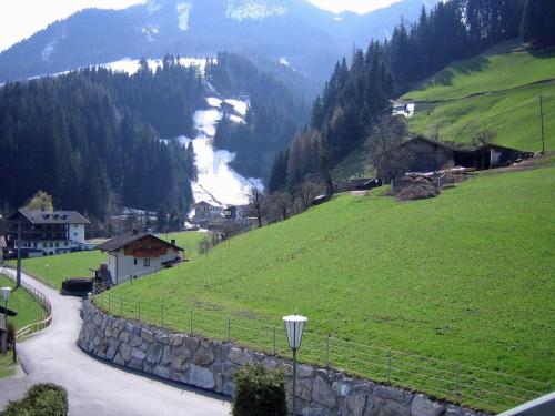 a view of a green hill with a street light at Apartment in Fügen near Ski Slopes in Uderns