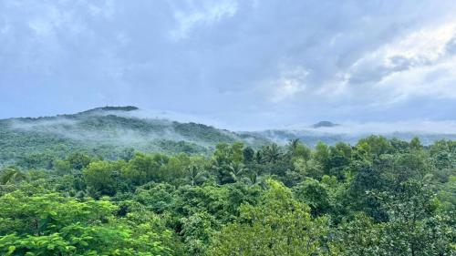 a forest filled with lots of trees and clouds at Nakshatra in Sawantwadi