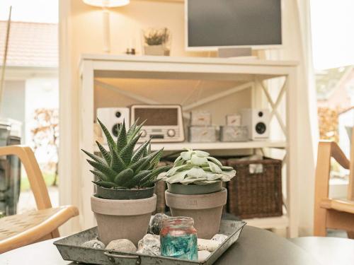 two potted plants sitting on a table in a living room at 4 person holiday home in Ærøskøbing-By Traum in Ærøskøbing
