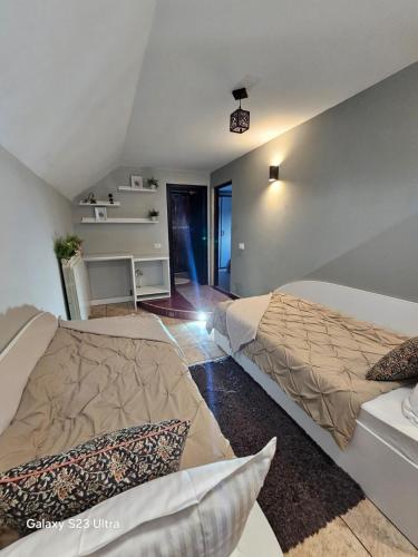 Un dormitorio con dos camas en una habitación. en Mera Holiday Inn, en Albeştii Pămînteni