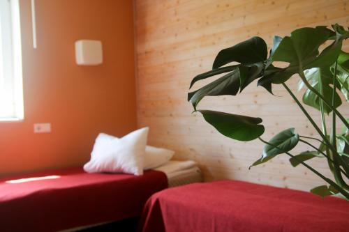 Gallery image of Voore Puhkekeskus in Voore