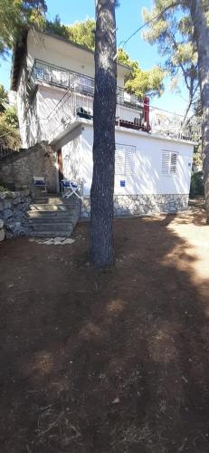 Apartment Xenija