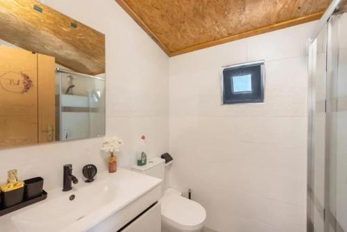 ein Badezimmer mit Waschbecken, Toilette und Spiegel in der Unterkunft Comfortable House Ponte de Vagos in Ponte de Vagos