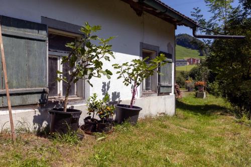 Wohnhaus Münzmühle in Appenzellにある庭