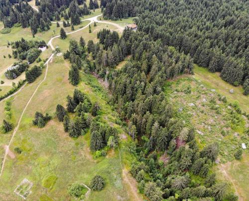 an aerial view of a field with trees at Chata u Tichého Lesa Pernink in Pernink