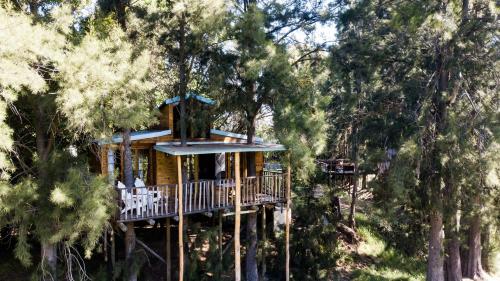 a tree house in the woods with a deck at Vindoux Tree House Guest Farm & Spa in Tulbagh