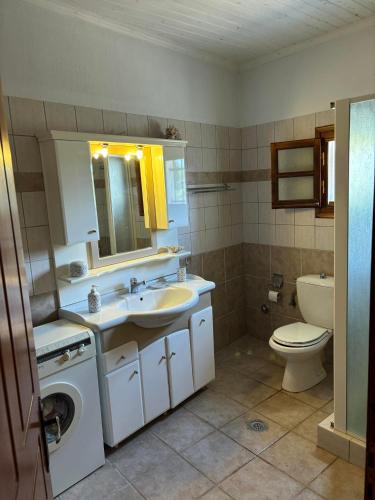 a bathroom with a sink and a toilet at Το πετρόσπιτο in Doliana