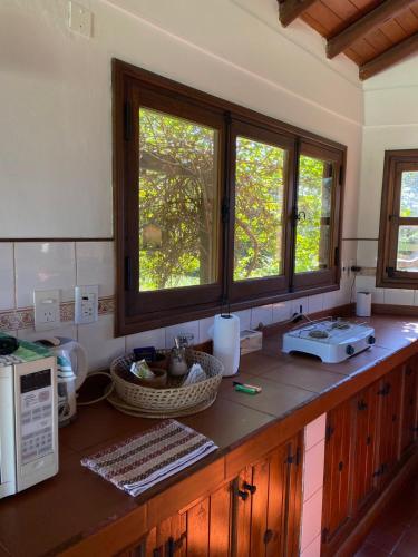 a kitchen with a counter with a microwave and windows at Cabañas lodge El Suizo in Gobernador Virasora