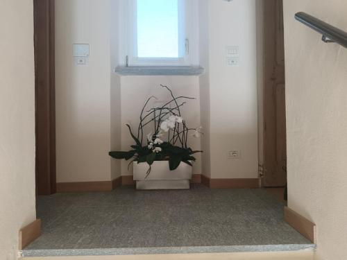 a hallway with a potted plant in a window at Langhe & Wine Accommodation in Neive