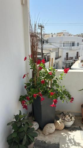 Το κτήριο όπου στεγάζεται  το διαμέρισμα