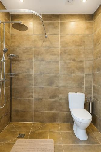 a bathroom with a toilet and a shower at Gedvilų sodyba in Kelmė