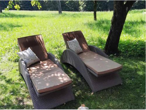 two chairs sitting in the grass next to a tree at Apartment in Neuhaus near Petzen Ski Area in Neuhaus