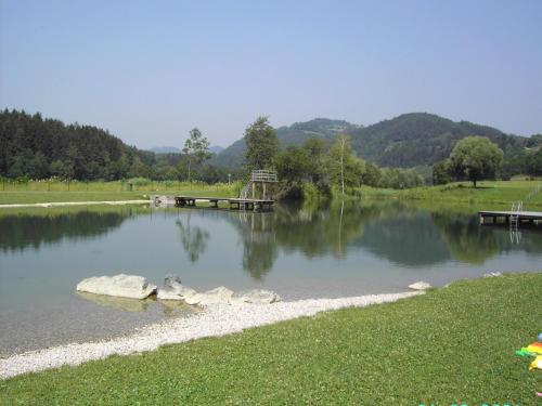 a lake with a bridge in the middle of it at Apartment in Neuhaus near Petzen Ski Area in Neuhaus