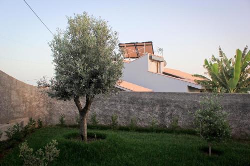 a tree in a yard in front of a wall at Ferienhaus in Estreito Da Calheta mit Privatem Pool und Meerblick in Jardim do Mar