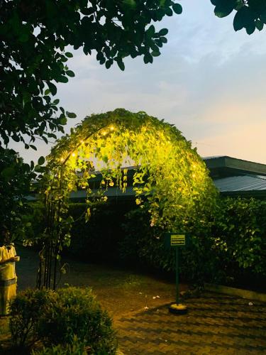 an arch with lights on it in a garden at Resolve Garden Hotel in Dodangoda