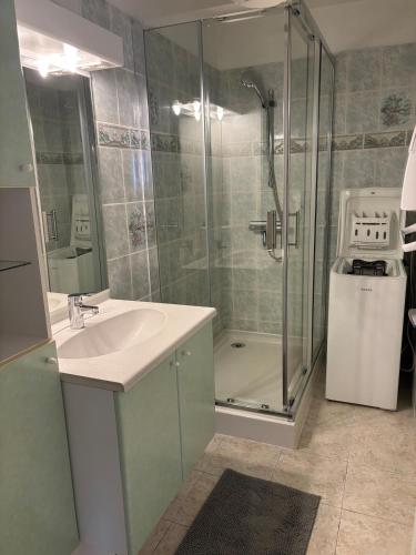 a bathroom with a sink and a glass shower at Gîte proche des châteaux et zoo in Soings-en-Sologne