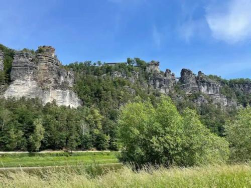 a mountain with trees and rocks in the background at Ideal für Kinder - Familientreffen - Ferienhaus Elbharmonie - Hunde herzlich willkommen in Dresden