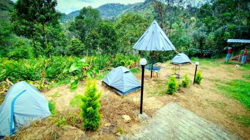 a group of three tents in a field at Misty valley Private Pool Villa Munnar in Anachal