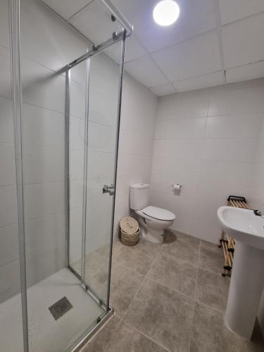Cortez de PallasにあるRural studioのシャワー、トイレ、洗面台を備えたバスルーム