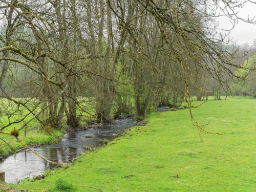 a stream in a field with trees and a river at Comfort Stay in Carlsbourg in Carlsbourg