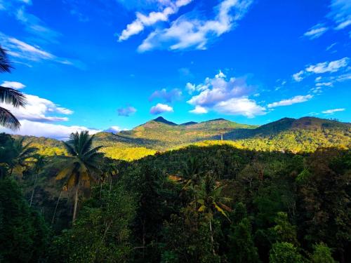 a view of a jungle with palm trees and mountains at Misty valley Private Pool Villa Munnar in Anachal