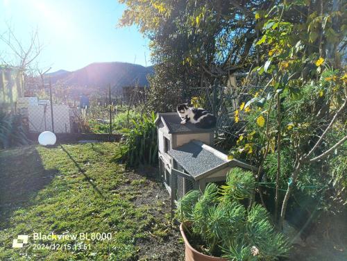 a black and white cat laying on top of a bird house at LA TANA DELLA VOLPETTA - Bed & Breakfast in Stella