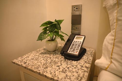 a phone and a plant on a table next to a bed at Quality Inn Rama, Ayodhya in Ayodhya