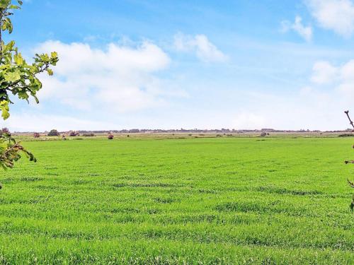 a field of green grass with a blue sky and clouds at 4 person holiday home in Tønder in Tønder