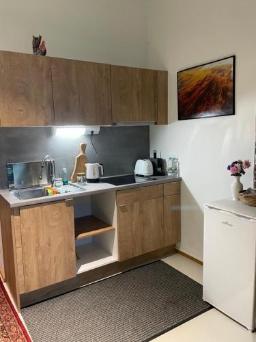 a kitchen with wooden cabinets and a sink at Caro’s Gartenwohnung in Vienna