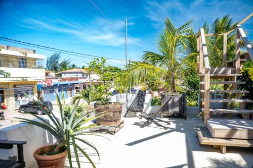 a patio with chairs and palm trees on a building at Crash Pad Adventure Hostel in Hopkins