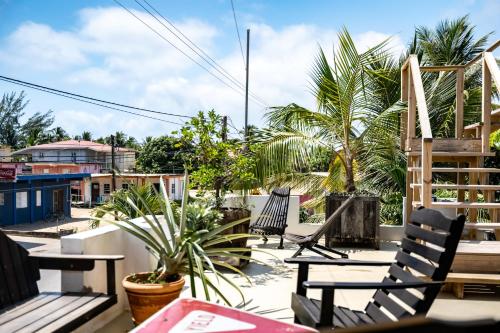 a patio with chairs and tables and palm trees at Crash Pad Adventure Hostel in Hopkins