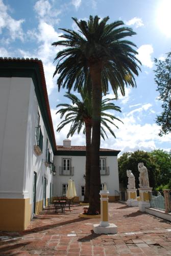 a palm tree in front of a white building at Hotel Rural Quinta de Santo Antonio in Elvas