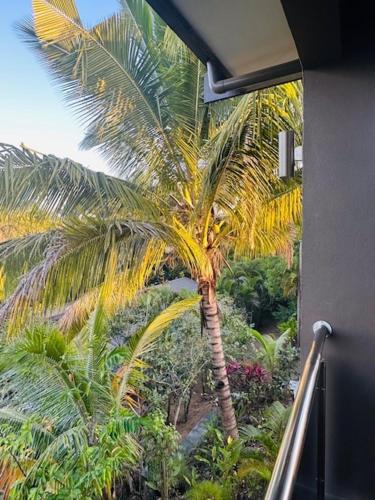 a palm tree is seen through a window at Vale Kau in Nadi