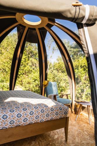 Bulles d'Olive Provence avec piscine - Jacuzzi en option