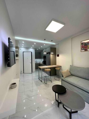 Downtown modern apartment
