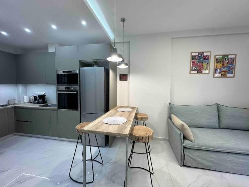 Downtown modern apartment