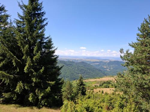 a view from the top of a hill with trees at Tvoja Kućica Za Beg in Banjska