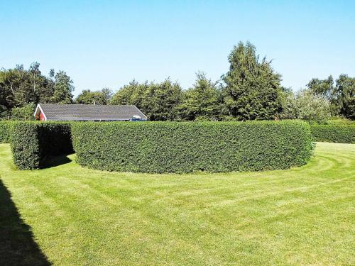 a hedge in a yard with a house in the background at 6 person holiday home in Nordborg-By Traum in Nordborg