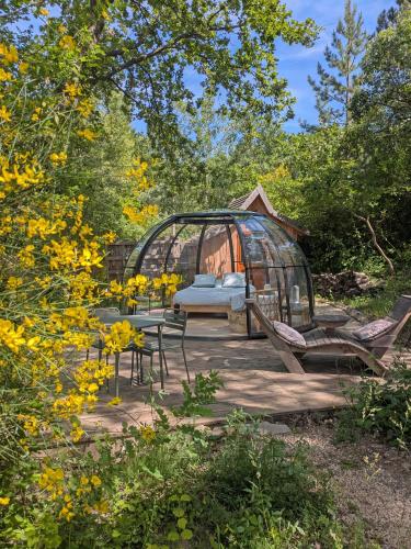 Bulles d'Olive Olea avec piscine - Jacuzzi en option